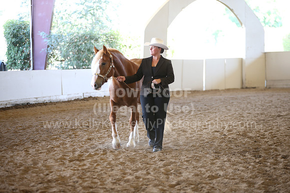 MLMH_2018_1891