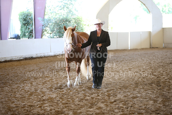 MLMH_2018_1892