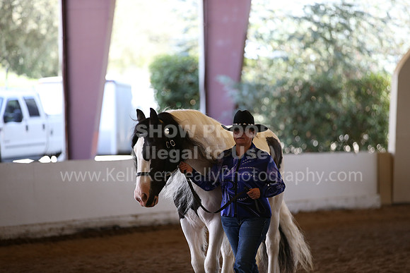 MLMH_2018_2733