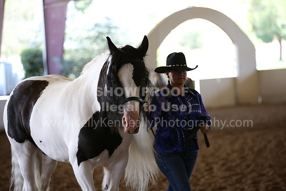 MLMH_2018_2734