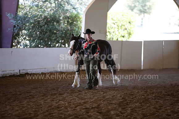 MLMH_2018_2737