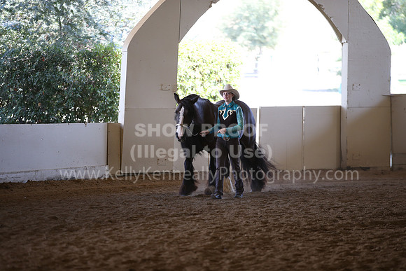 MLMH_2018_2738