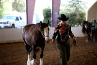 MLMH_2018_2739