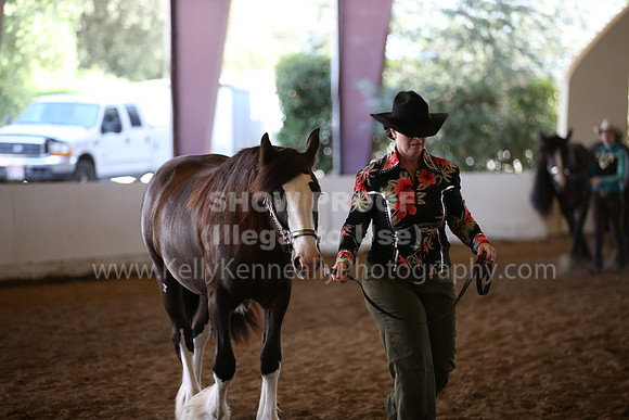 MLMH_2018_2739