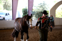 MLMH_2018_2740