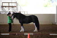 MLMH_2018_2742