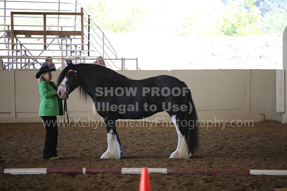 MLMH_2018_2742