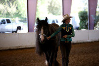 MLMH_2018_2743
