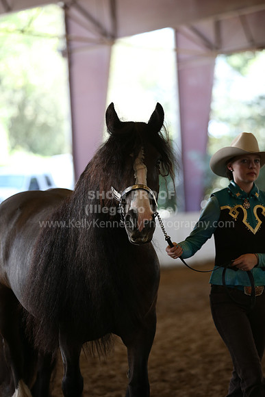 MLMH_2018_2744