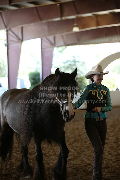 MLMH_2018_2745