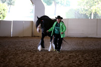 MLMH_2018_2746