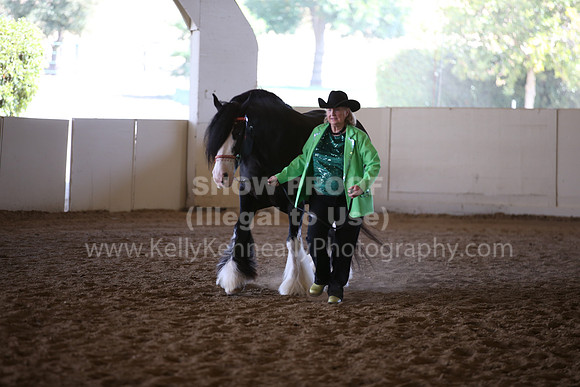 MLMH_2018_2746