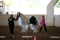 MLMH_2018_2749