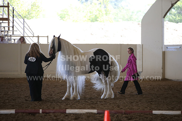 MLMH_2018_2749