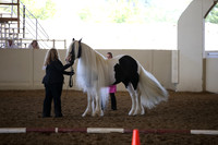 MLMH_2018_2750