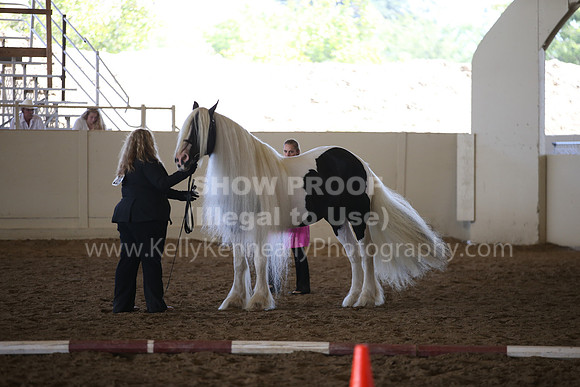 MLMH_2018_2750