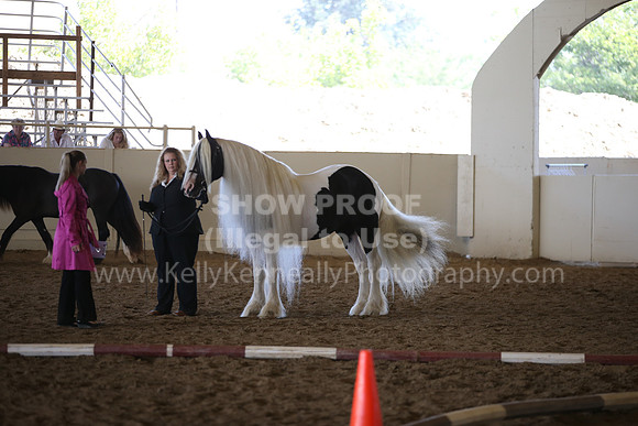 MLMH_2018_2753