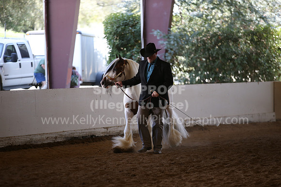 MLMH_2018_2761