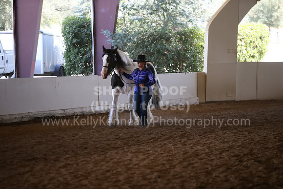 MLMH_2018_2762