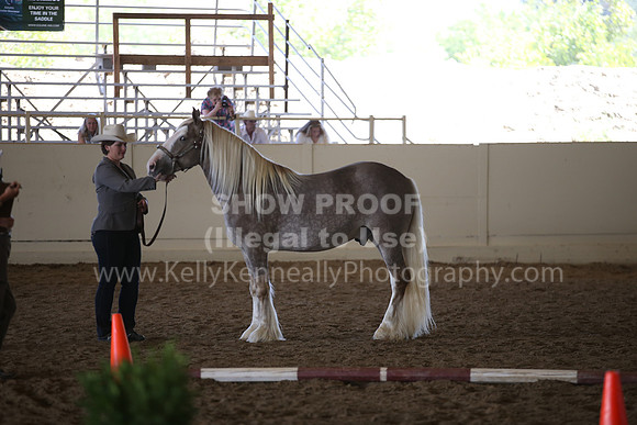 MLMH_2018_2765
