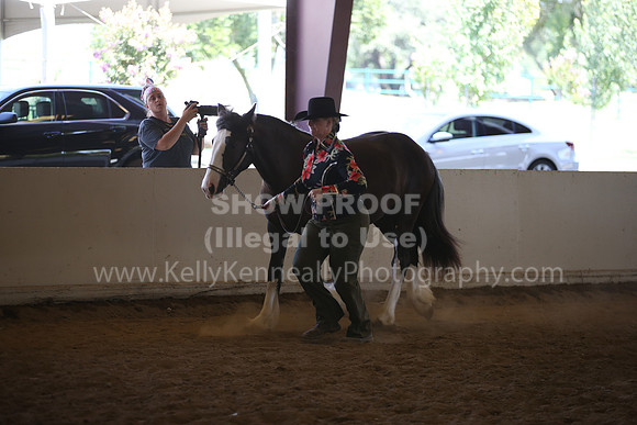 MLMH_2018_2769
