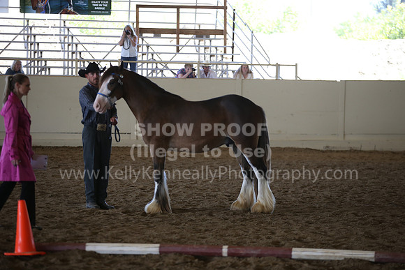 MLMH_2018_2775