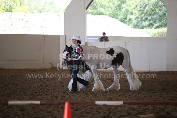 MLMH_2018_2778