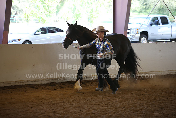MLMH_2018_2788