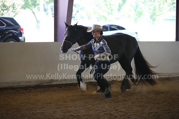 MLMH_2018_2789