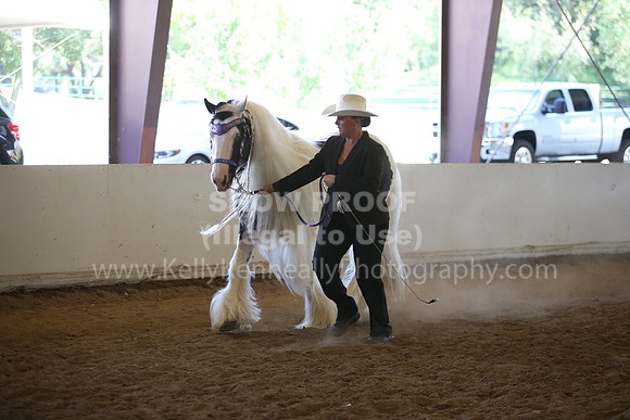 MLMH_2018_2802