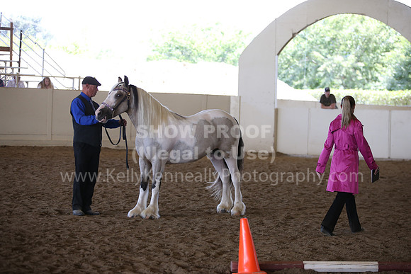 MLMH_2018_2804