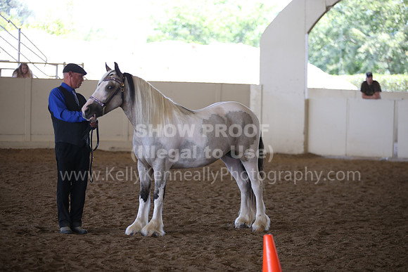 MLMH_2018_2805