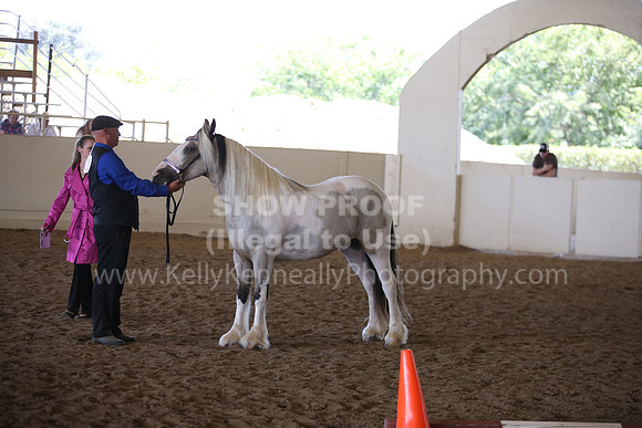 MLMH_2018_2806