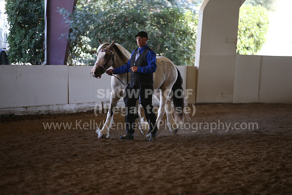 MLMH_2018_2807