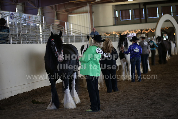 MLMH_2018_2813