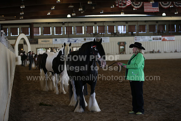 MLMH_2018_2815