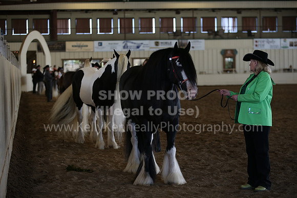 MLMH_2018_2816