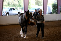 MLMH_2018_2828