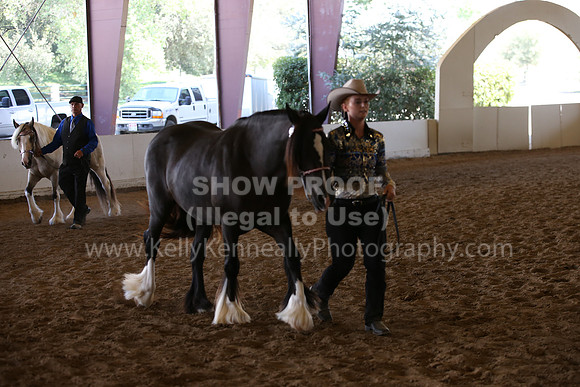 MLMH_2018_2829