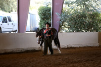 MLMH_2018_2833