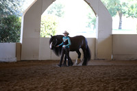MLMH_2018_2834