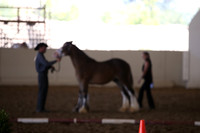 MLMH_2018_2837