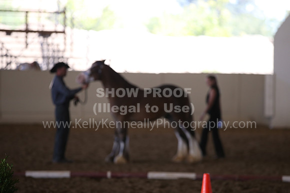 MLMH_2018_2837