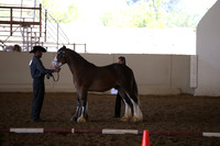 MLMH_2018_2838