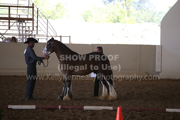 MLMH_2018_2838