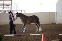 MLMH_2018_2839