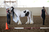MLMH_2018_2842