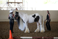 MLMH_2018_2843