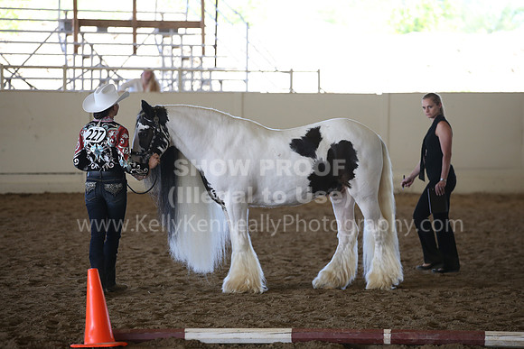 MLMH_2018_2843