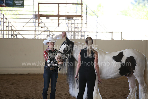 MLMH_2018_2845